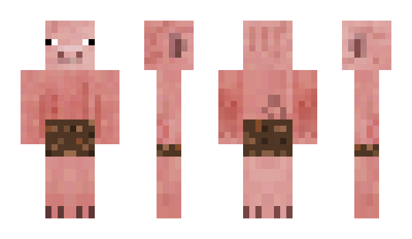Minecraft skin echu