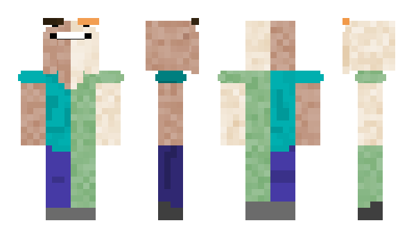 Minecraft skin pstro