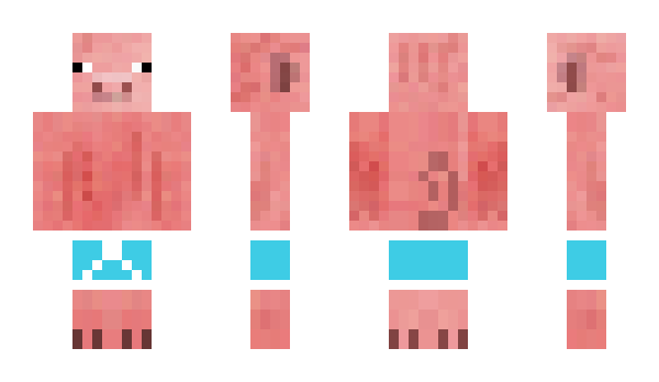 Minecraft skin TopGearRules
