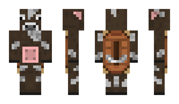 Minecraft skin hilib