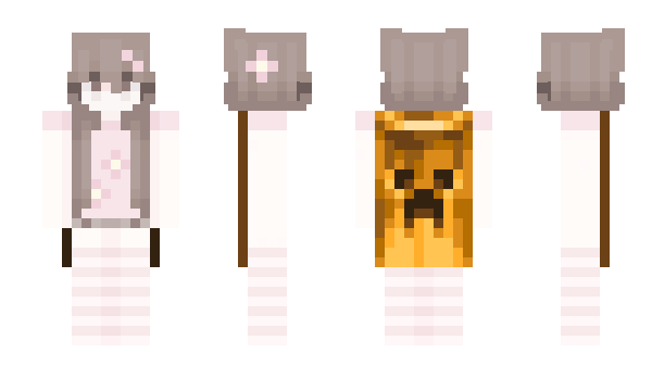 Minecraft skin Acexual
