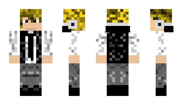 Minecraft skin Radier