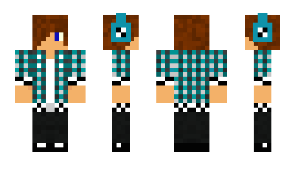 Minecraft skin SkylordMCHD