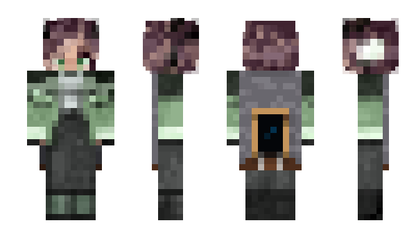 Minecraft skin GreenAconight