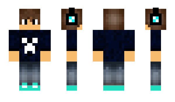 Minecraft skin PP24