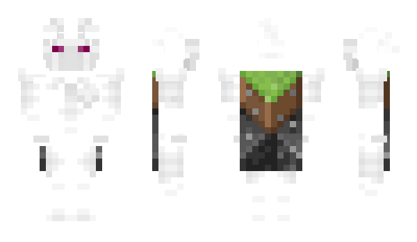 Minecraft skin 1500cartierframe