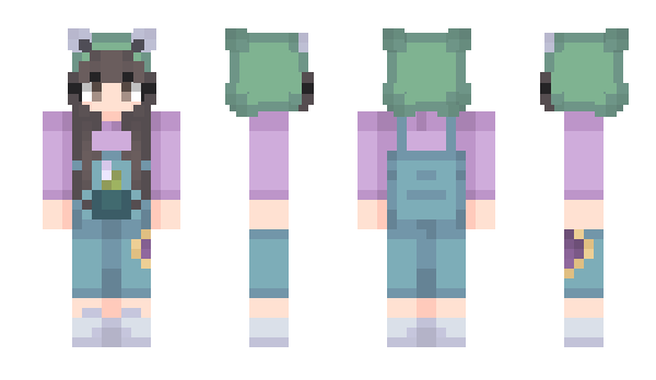 Minecraft skin thedish