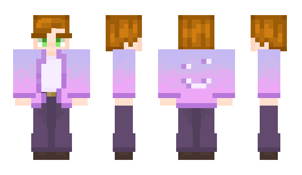 Minecraft skin Picobit