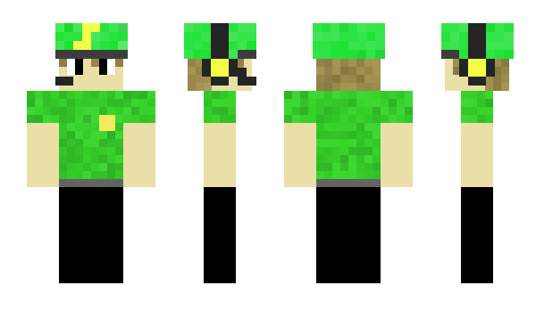 Minecraft skin mnsb223