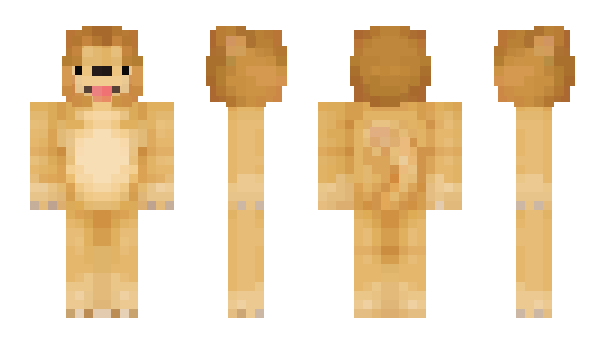 Minecraft skin RI5E