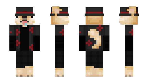Minecraft skin DTDogoh