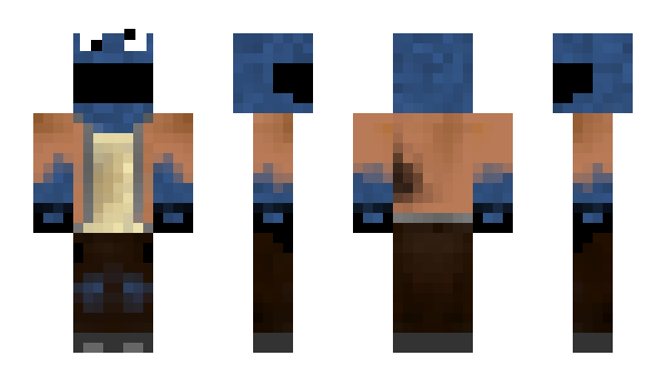 Minecraft skin Pnok