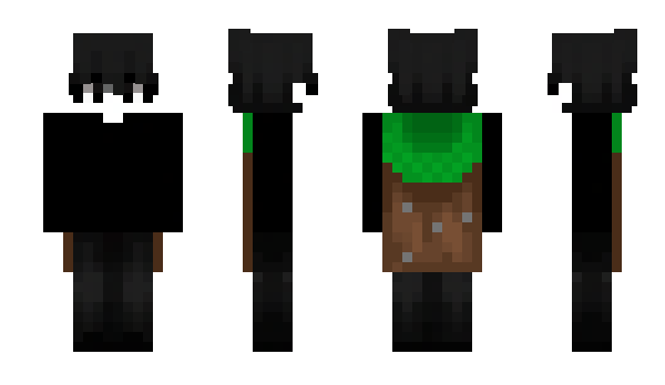 Minecraft skin PaulPoll