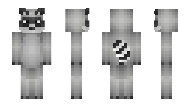 Minecraft skin crazyann