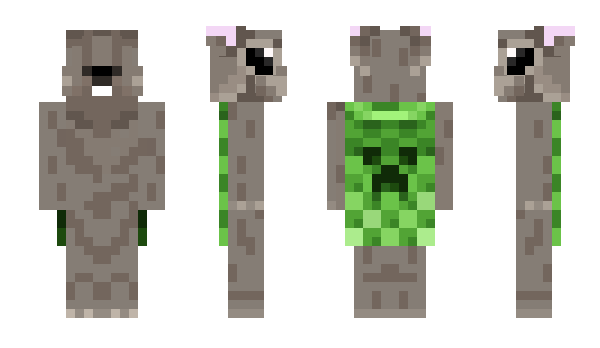 Minecraft skin nartz