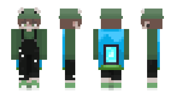 Minecraft skin ryzacek