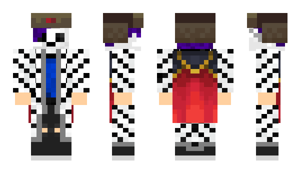 Minecraft skin NinjaCan