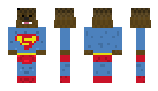 Minecraft skin pappydas