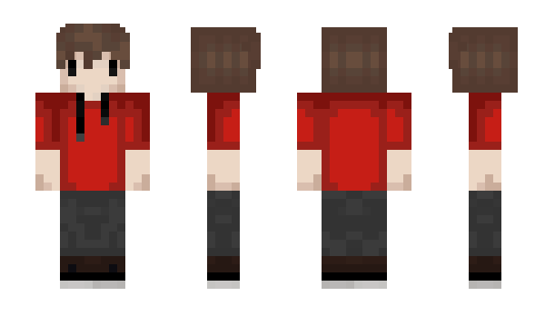 Minecraft skin GuZuNi