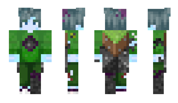 Minecraft skin DASHPOOL