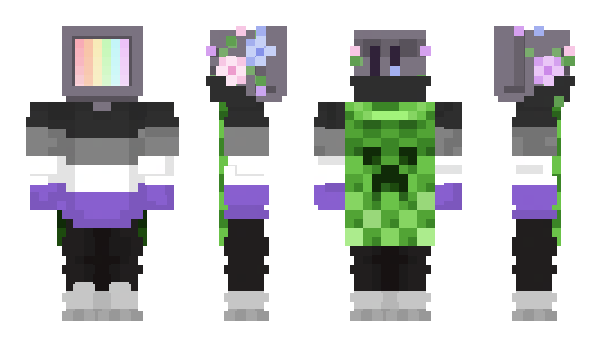 Minecraft skin Asxual