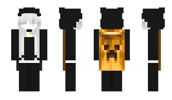 Minecraft skin pddi