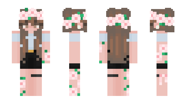 Minecraft skin Skulling