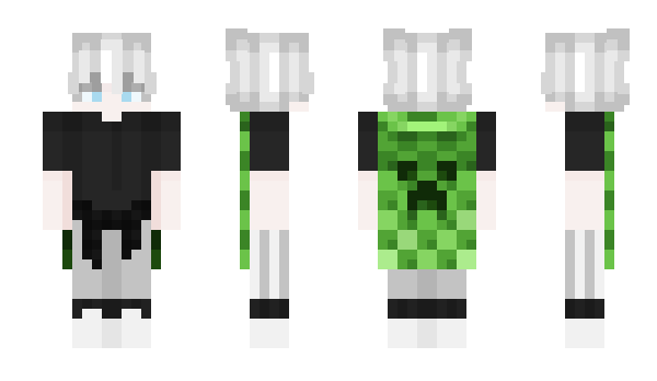 Minecraft skin potaba