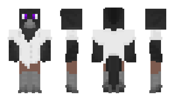 Minecraft skin KingRavrn