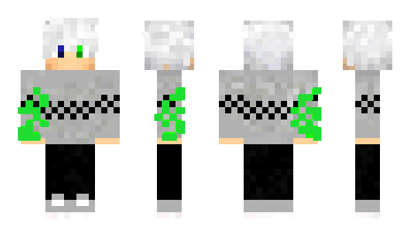 Minecraft skin NesroW