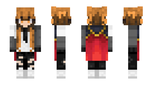 Minecraft skin Viscachon