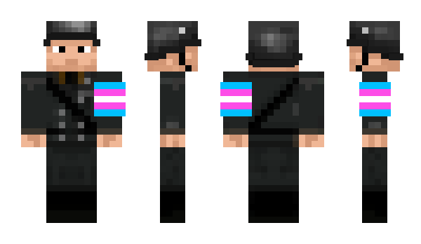 Minecraft skin bcm