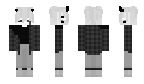 Minecraft skin xerj