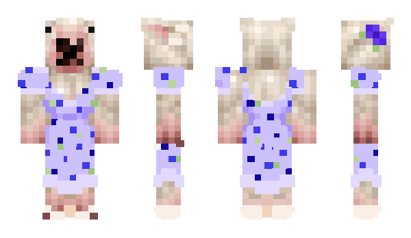 Minecraft skin Spns