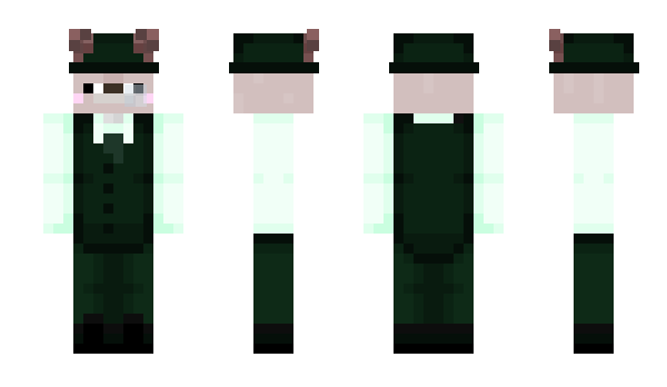 Minecraft skin 49hpQuim