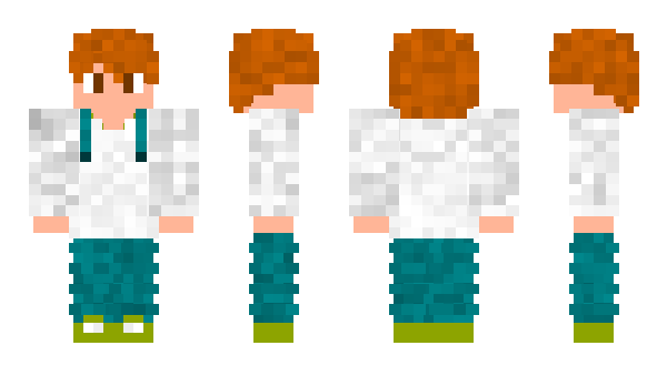 Minecraft skin Konbi