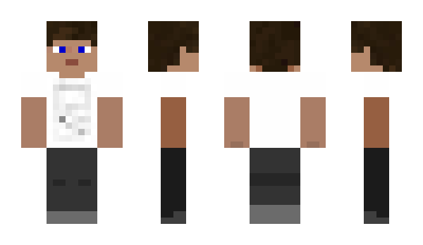 Minecraft skin braunbaerlgh