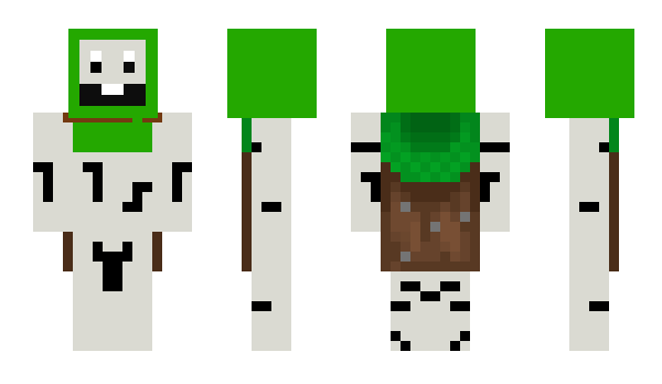 Minecraft skin G2G49265