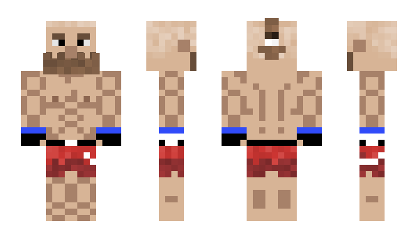 Minecraft skin ufcfighter