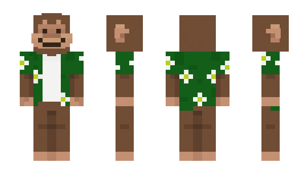 Minecraft skin 1385friend2