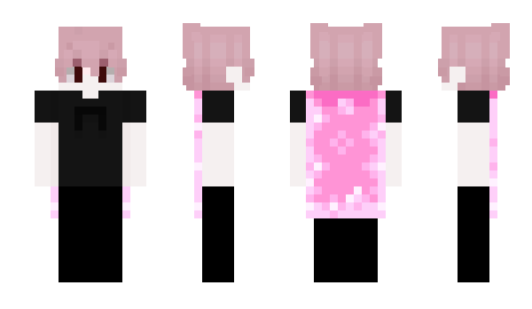 Minecraft skin ppve