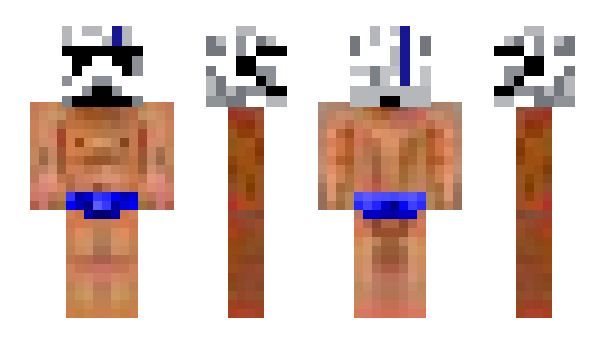 Minecraft skin VECTORSON