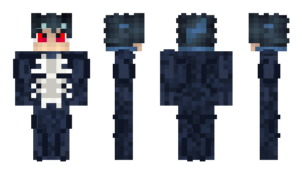 Minecraft skin EDTF