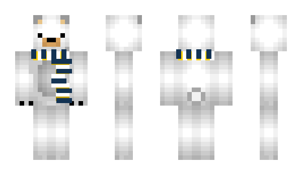 Minecraft skin okct