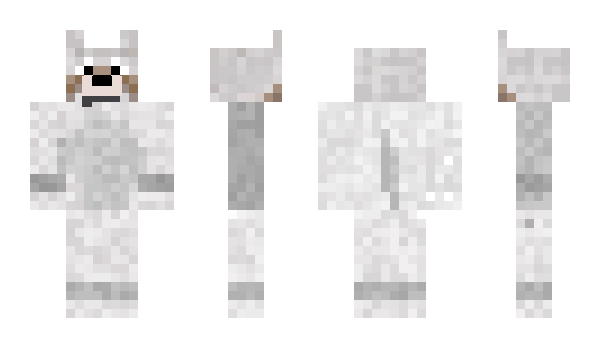 Minecraft skin dlcpack