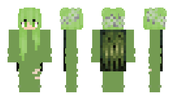 Minecraft скин по нику CacheingChex