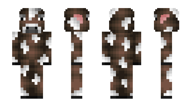 Minecraft skin 1vs1