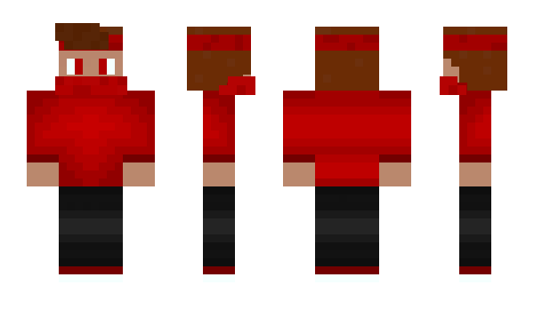 Minecraft skin Shigaka