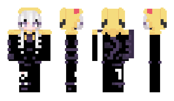 Minecraft skin wsardo