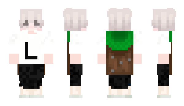 Minecraft skin Raramon1172
